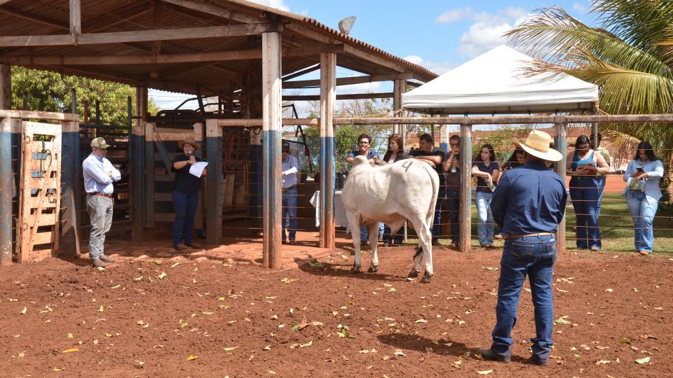 Fotos: Milton Santos