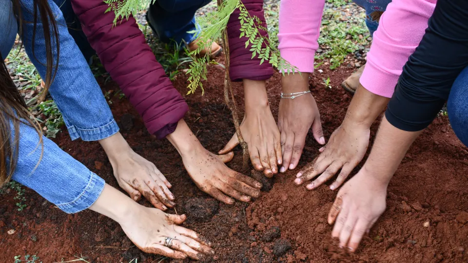 Mutirão de Arborização no Campus Glória (Fotos: Milton Santos)