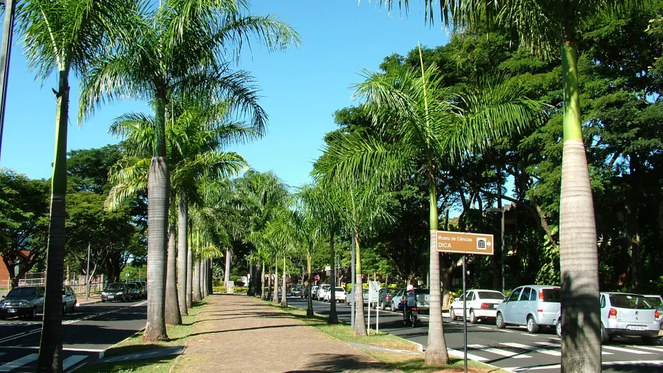Milton Santos, fotógrafo da UFU, comemora 46 anos de profissão 