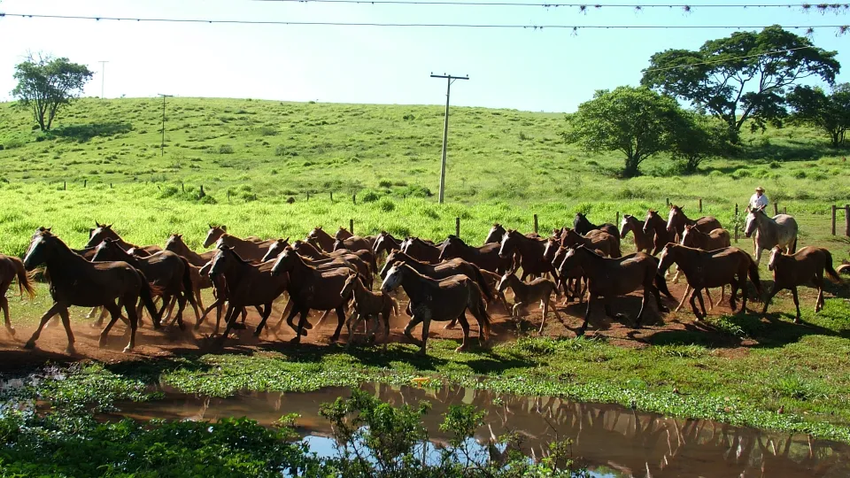 Milton Santos, fotógrafo da UFU, comemora 46 anos de profissão 