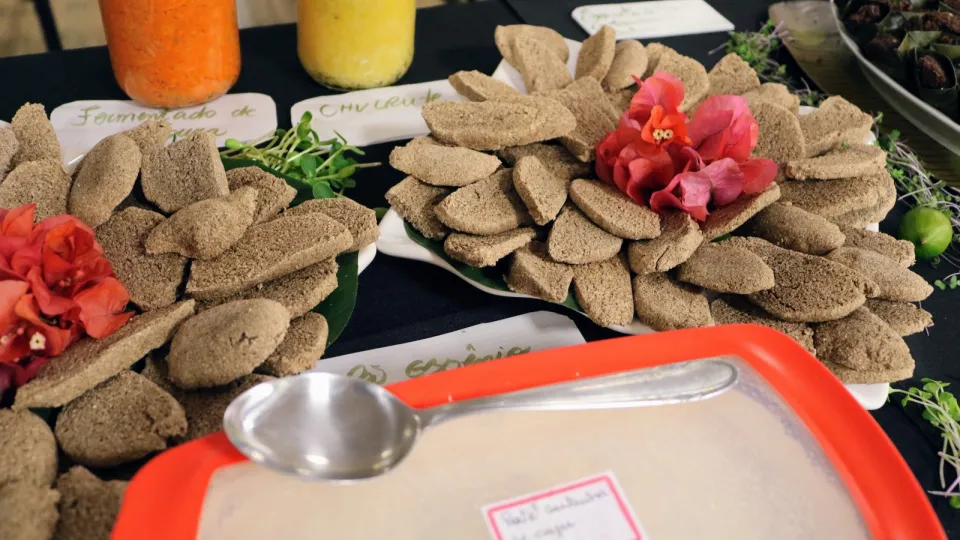 Oficina de alimentação viva