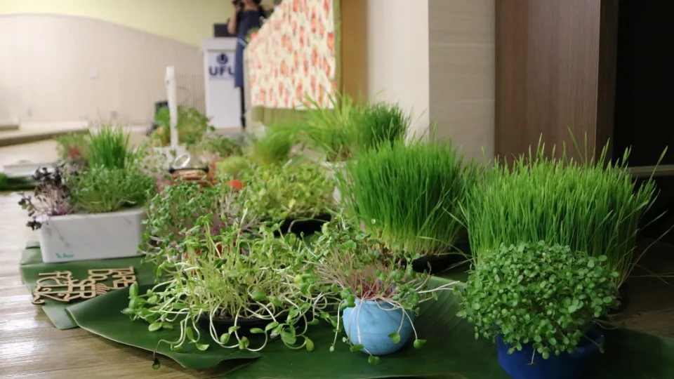 Oficina de alimentação viva