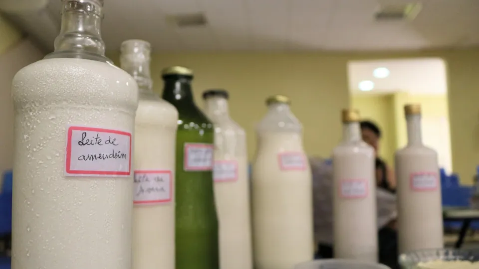 Oficina de alimentação viva