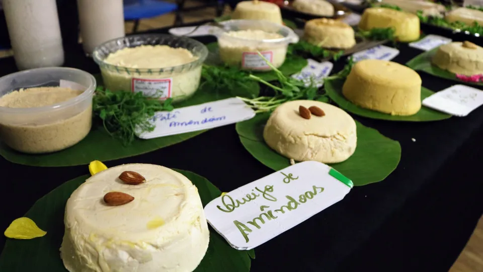 Oficina de alimentação viva