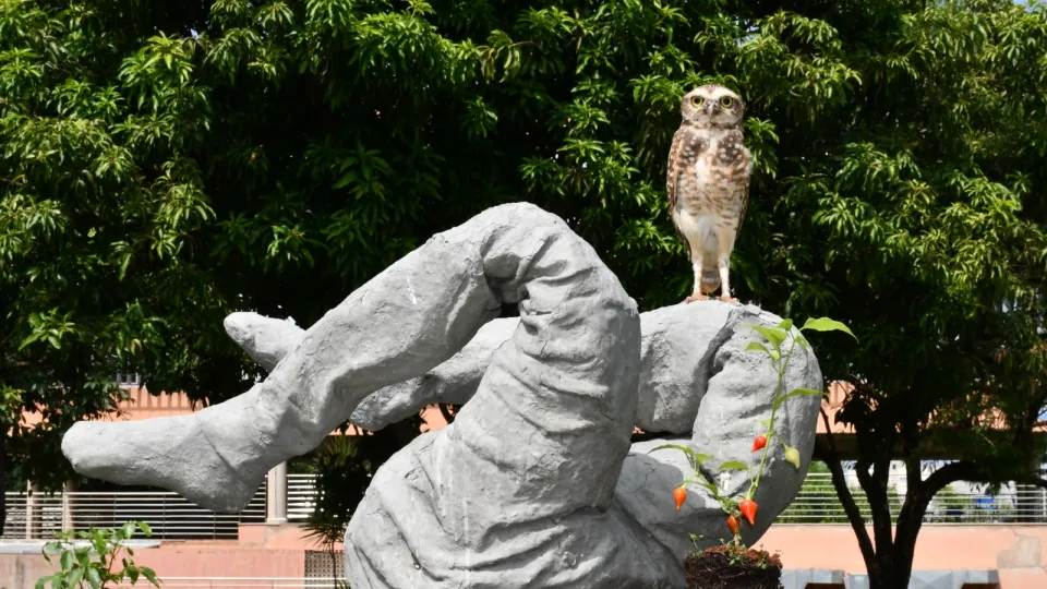 Exposição coletiva `Concretude"  (Milton Santos)