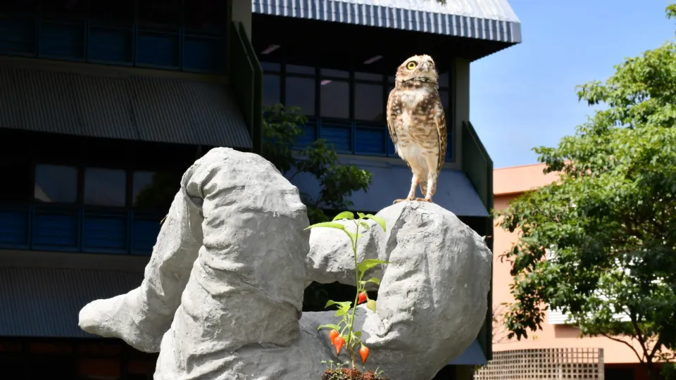 Exposição coletiva `Concretude"  (Milton Santos)