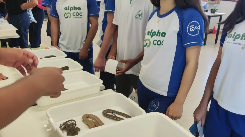 Vem pra UFU: Monte Carmelo (Divulgação)