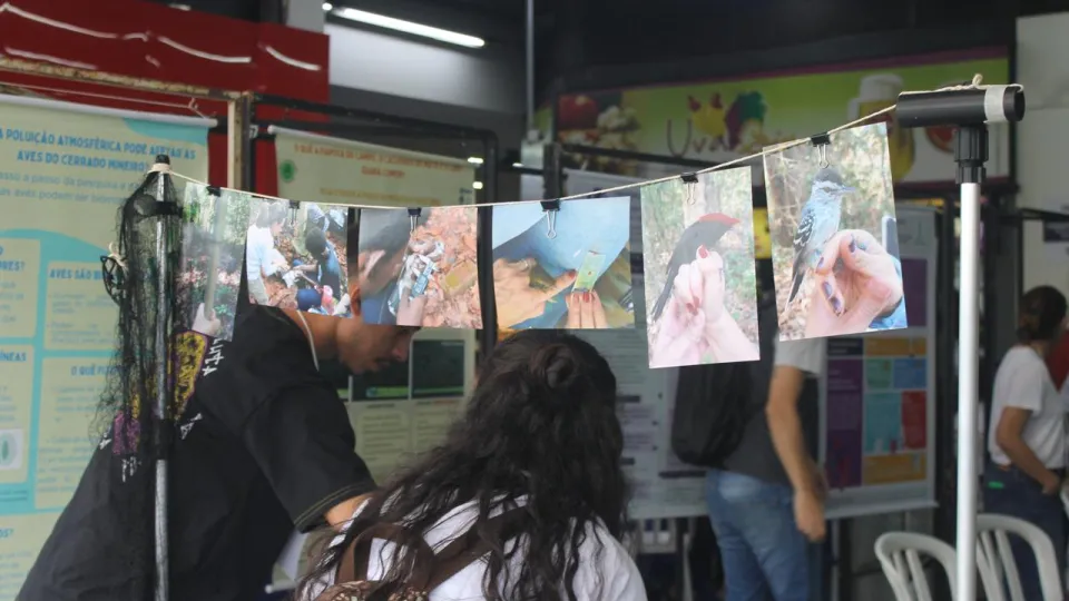 Fotos de animais do cerrado penduradas em varal