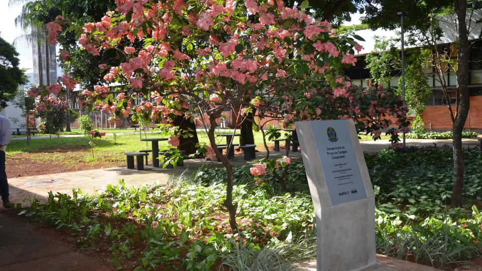 Prefeitura Universitária entrega obras à comunidade