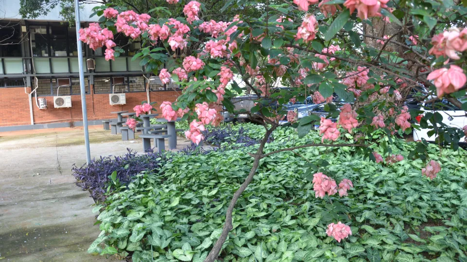 Prefeitura Universitária entrega obras à comunidade