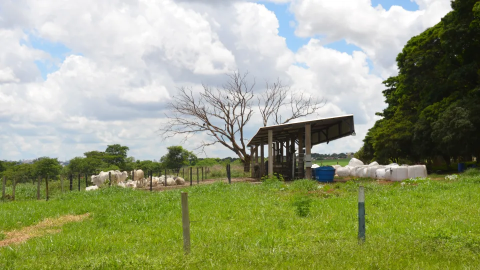 Prefeitura Universitária entrega obras à comunidade