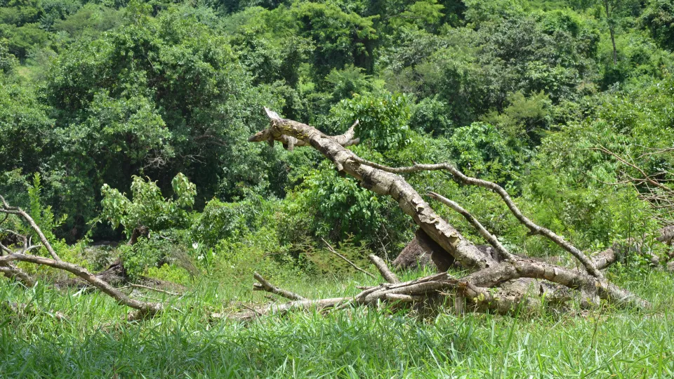 Prefeitura Universitária entrega obras à comunidade