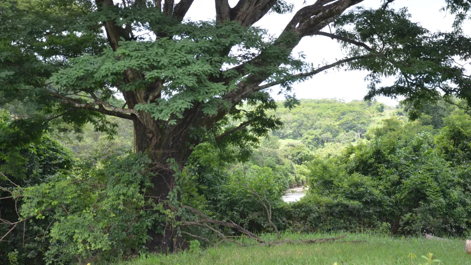 Prefeitura Universitária entrega obras à comunidade