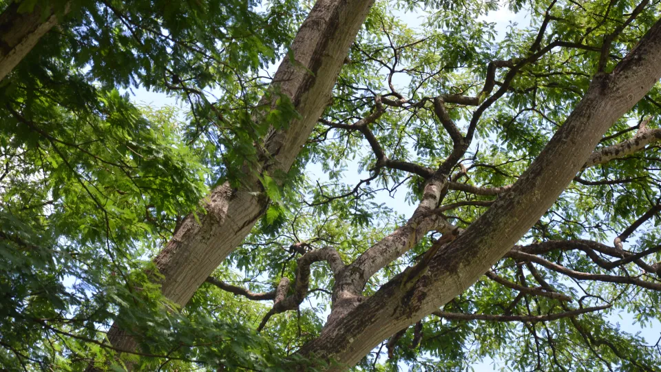 Prefeitura Universitária entrega obras à comunidade