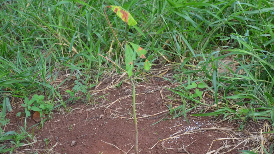 Prefeitura Universitária entrega obras à comunidade
