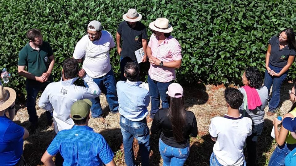 Dia de Campo Soja e Milho no Campus Monte Carmelo. Foto: Lara Fagundes da Silva