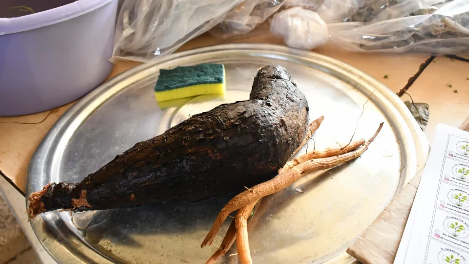 Encontro da Semana Nacional do Cerrado (Fotos: Milton Santos)