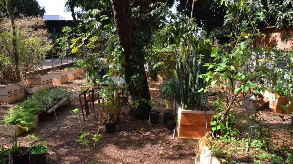 Encontro da Semana Nacional do Cerrado (Fotos: Milton Santos)