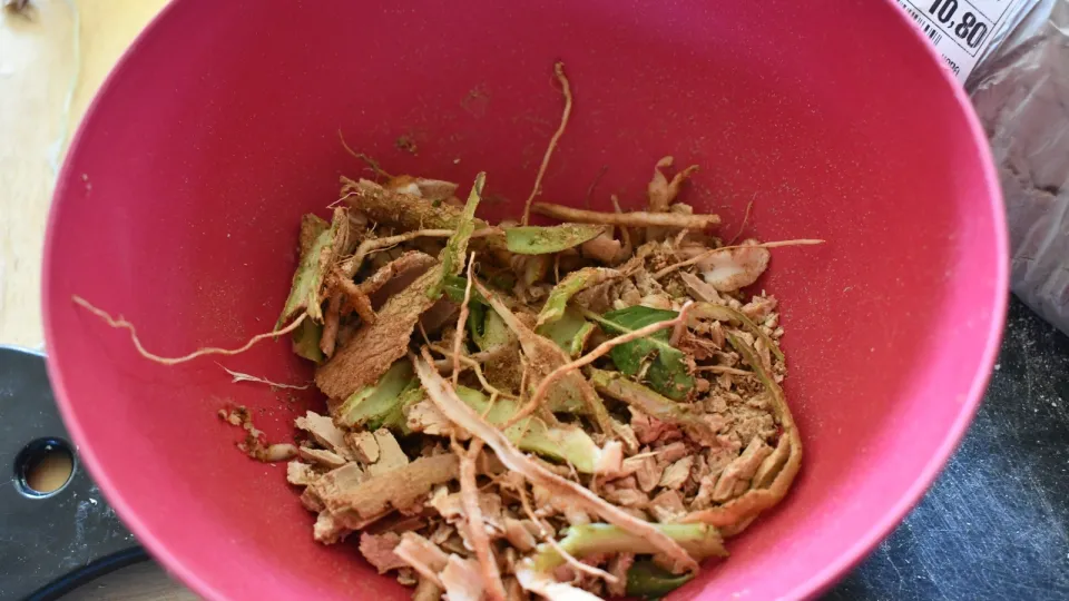 Encontro da Semana Nacional do Cerrado (Fotos: Milton Santos)