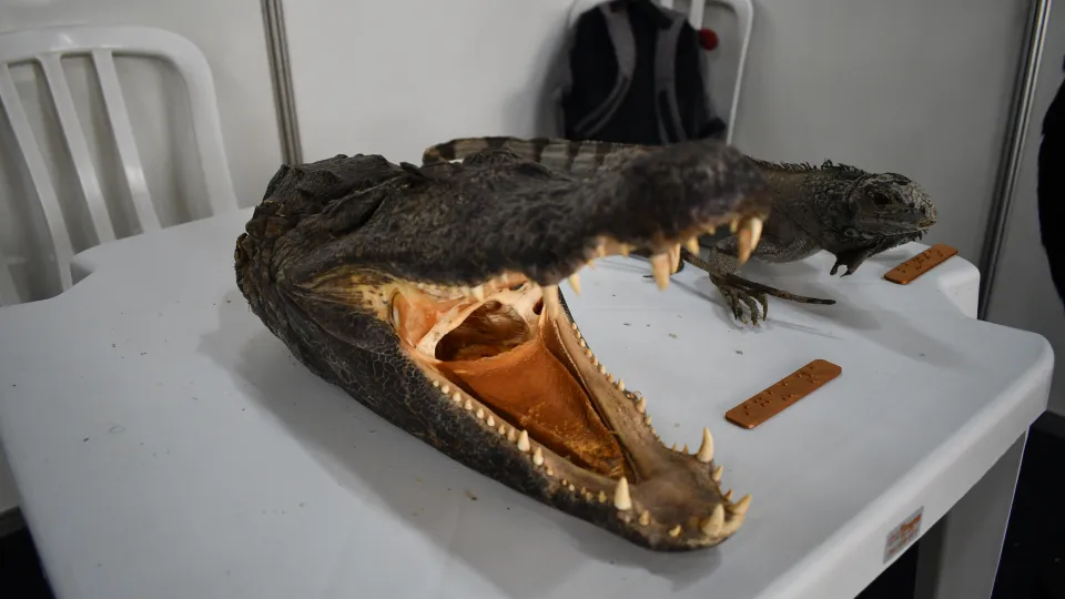 Mostra de projetos do I Encontro de Extensão da Pós-Graduação da UFU (Fotos: Milton Santos)