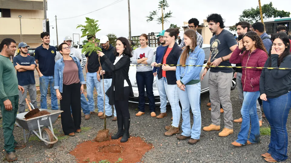 Mutirão de Arborização no Campus Glória (Fotos: Milton Santos)