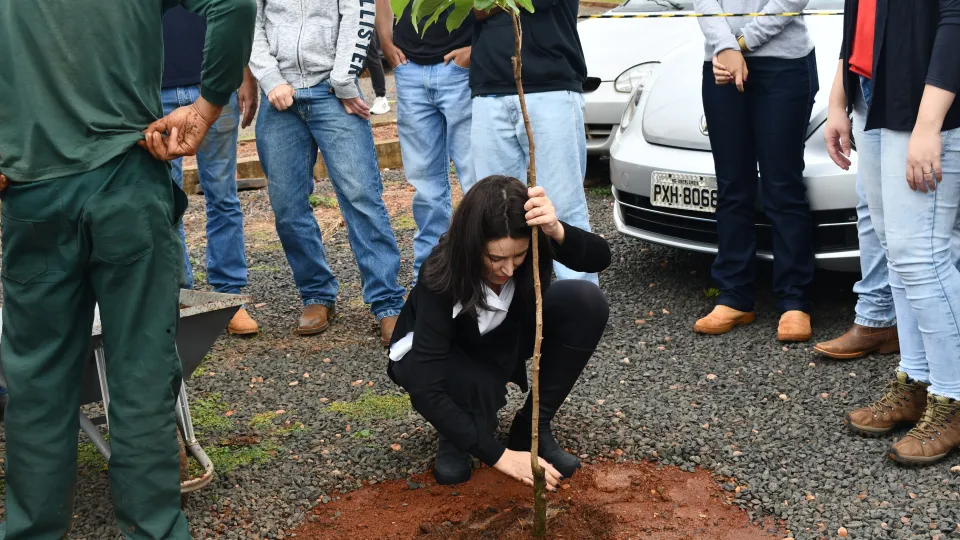Mutirão de Arborização no Campus Glória (Fotos: Milton Santos)