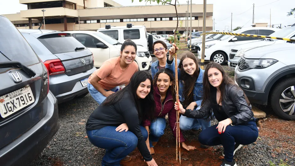 Mutirão de Arborização no Campus Glória (Fotos: Milton Santos)Mutirão de Arborização no Campus Glória (Fotos: Milton Santos)