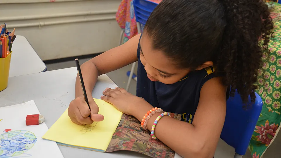  "Diário de Ideias em descobertas com IA " (Fotos: Milton Santos)