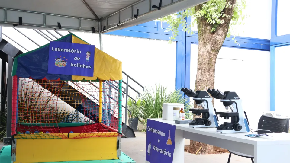 Visita das crianças