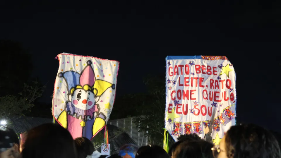 Imagens das apresentações durante o cortejo