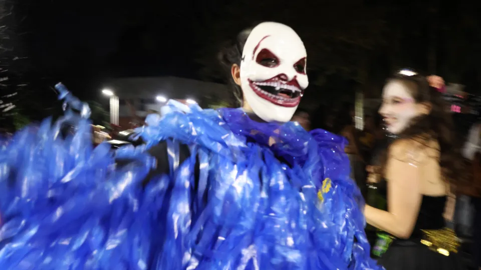 Imagens das apresentações durante o cortejo