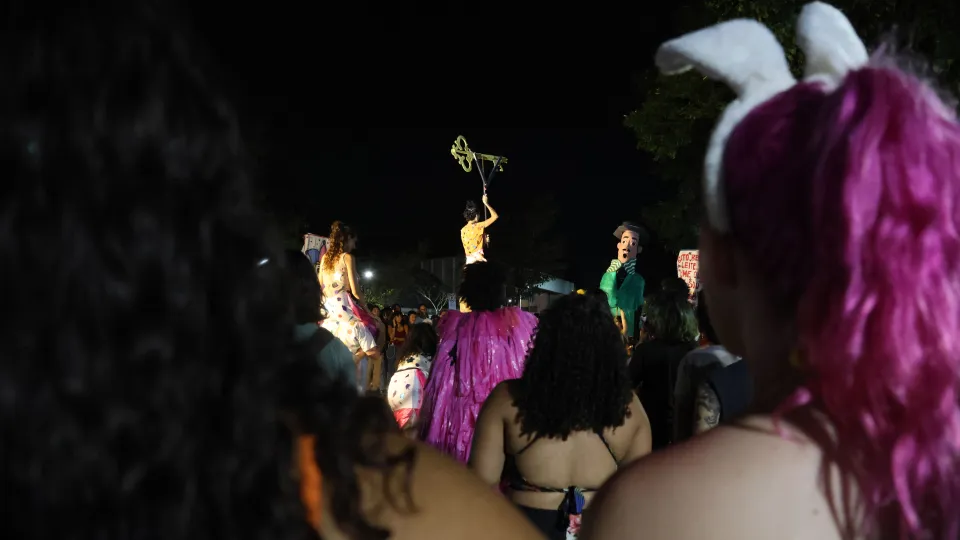 Imagens das apresentações durante o cortejo