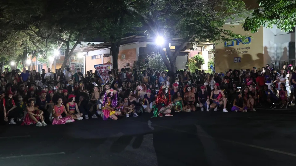 Imagens das apresentações durante o cortejo