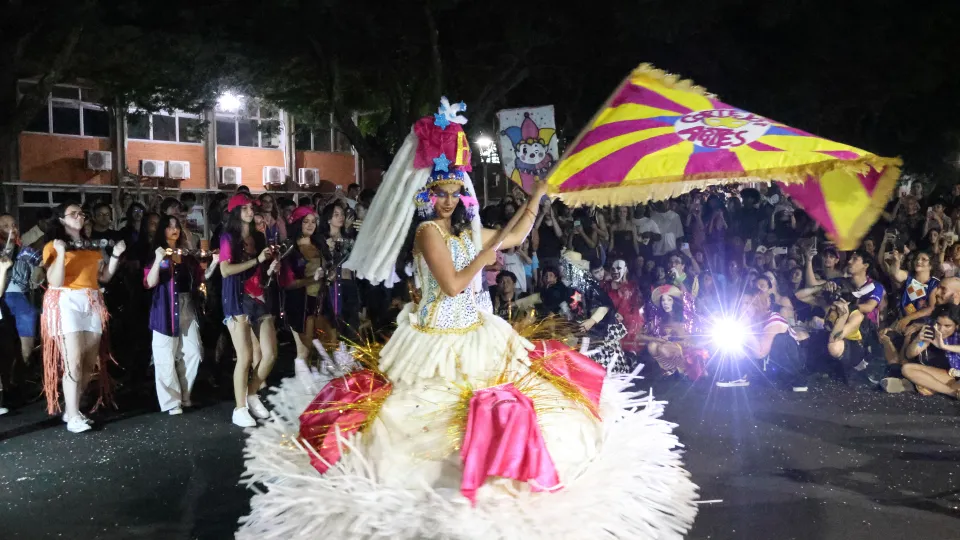 Imagens das apresentações durante o cortejo