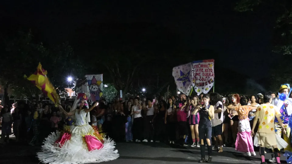 Imagens das apresentações durante o cortejo
