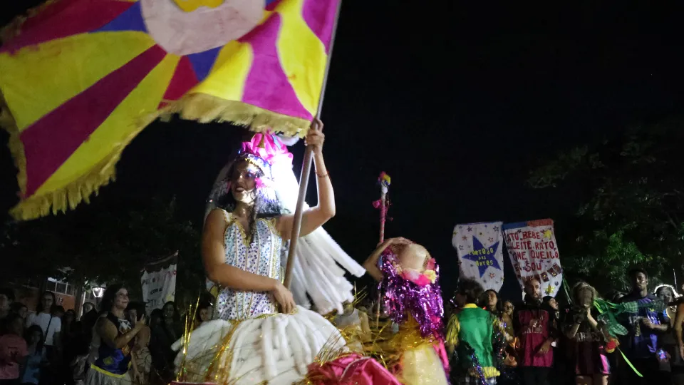 Imagens das apresentações durante o cortejo