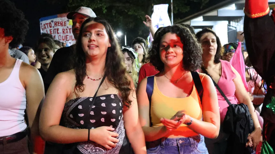 Imagens das apresentações durante o cortejo