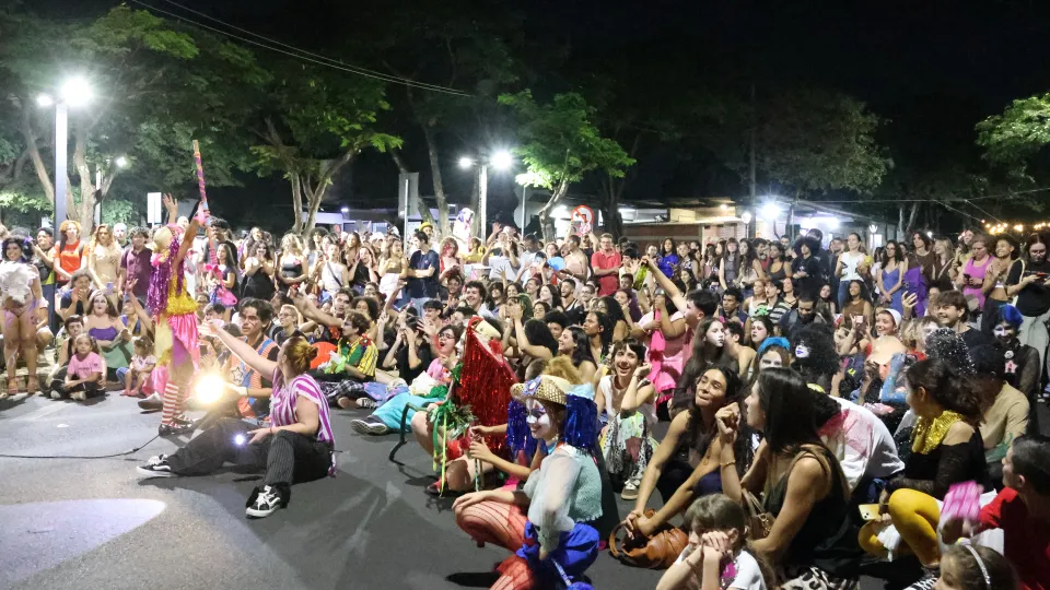 Imagens das apresentações durante o cortejo