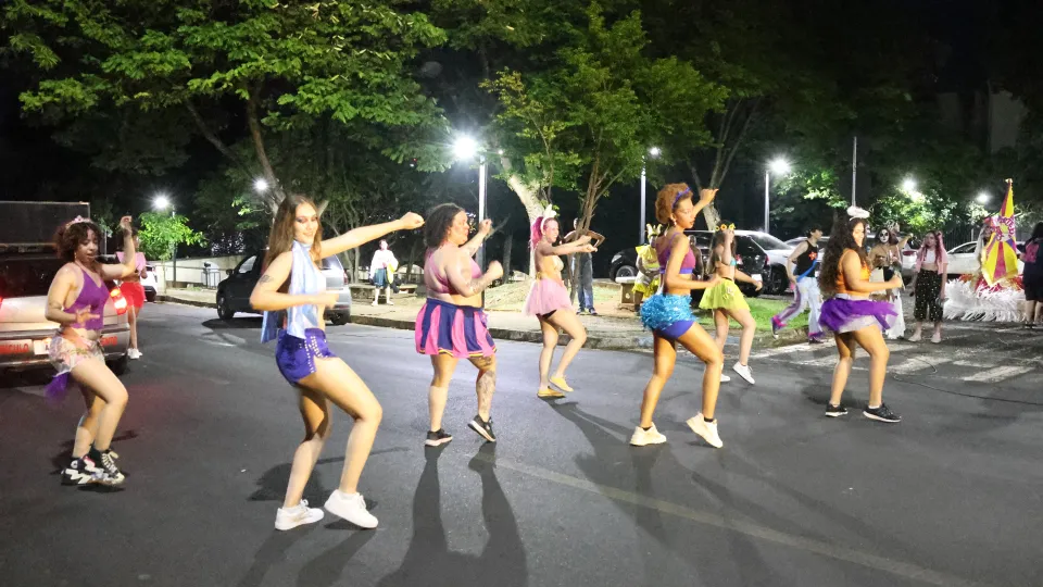 Imagens das apresentações durante o cortejo
