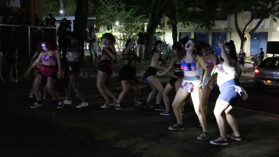 Imagens das apresentações durante o cortejo