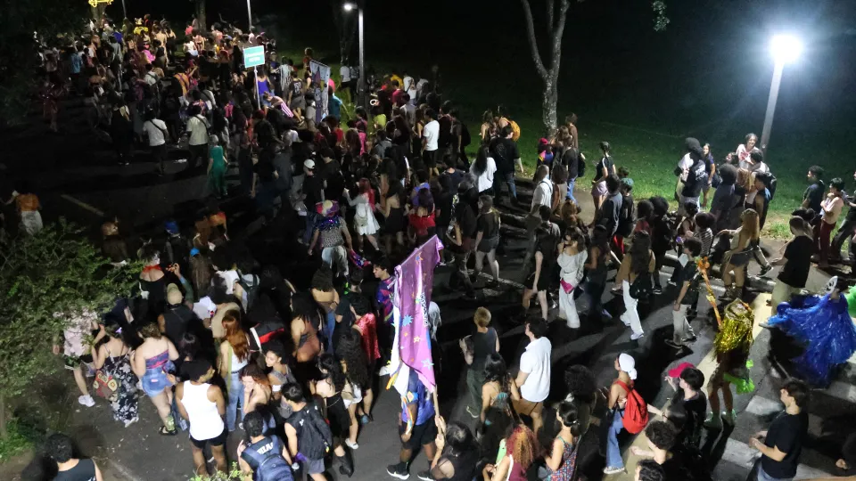 Imagens das apresentações durante o cortejo