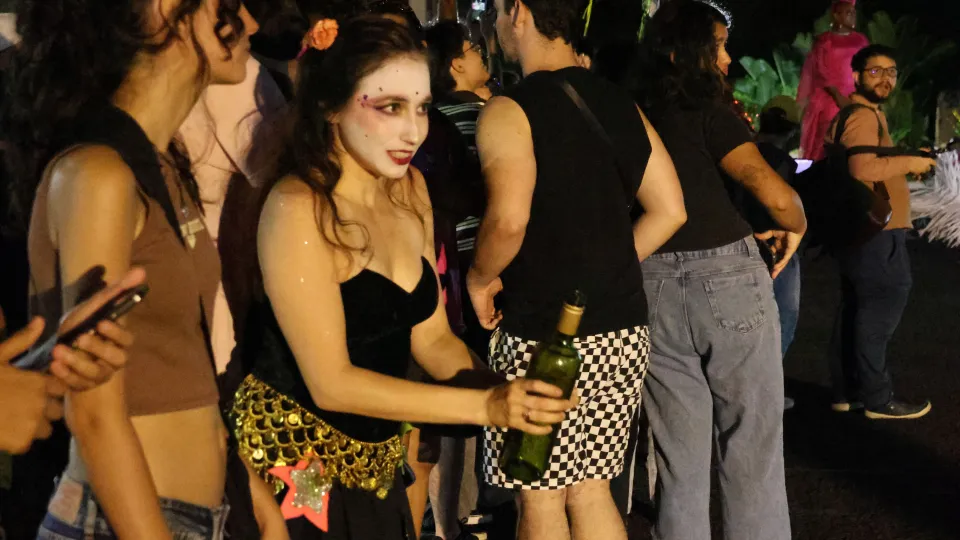 Imagens das apresentações durante o cortejo