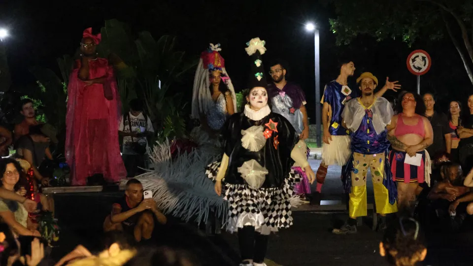 Imagens das apresentações durante o cortejo