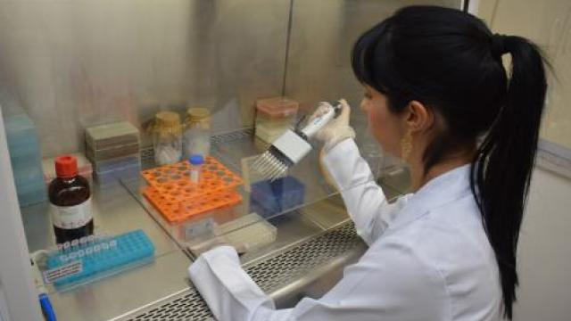 Roberta Melo fez testes de formação de biofilme in vitro no Laboratório de Epidemiologia Molecular da UFU (Foto: Fabiano Goulart)