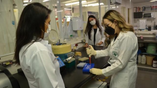 Victória Groshe, à direita, realiza testes no Laboratório de Virologia da UFU. (Foto: Milton Santos)