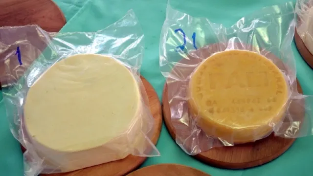 Queijo Minas artesanal com um dia de maturação (à esquerda) e com 21 dias de maturação (à direita) (Foto: Milton Santos)