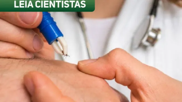 Borrelioses podem prejudicar o funcionamento do coração, dos pulmões, das articulações e apresentar sintomas de meningite, provocando risco de morte. (Foto: IStock)