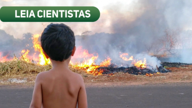 As queimadas podem volatilizar inúmeras substâncias tóxicas e materiais particulados com grande potencial de dispersão e deposição (foto: Guilherme Silveira)