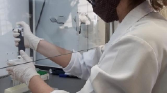 Noemi Chagas Conejo participa de pesquisas no Laboratório de Ensaios Antimicrobianos da UFU (Foto: Arquivo pessoal)