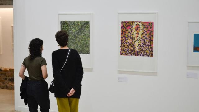 Imagem de duas mulheres, de costas, olhando para um quadro exposto no Museu Universitário de Arte da Universidade Federal de Uberlândia